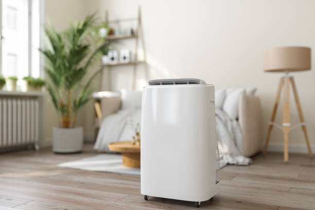 Best Energy-efficient HVAC Solutions in Paddock Lake, WI